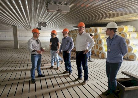 MS está credenciado a abrigar Projeto de Genética Suína para o Centro-Oeste
