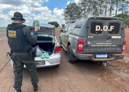 Paraguaio é preso pelo DOF com pasta-base de cocaína que seria entregue em Dourados