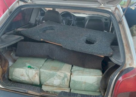 Fugindo da polícia, motorista do tráfico é atacado por enxame de abelhas e morre