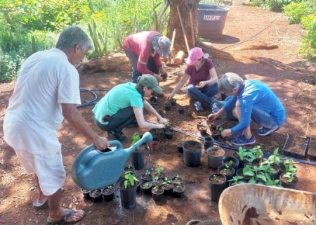 Mato Grosso do Sul avança com a inclusão de fitoterápicos na saúde pública