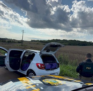 Homem é preso com mais de meia tonelada de maconha na MS-386