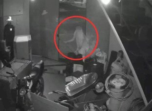 VÍDEO: Homem invade loja de materiais de construção e furta celular