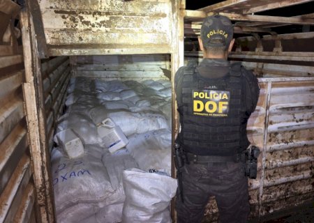 Homem é com R$ 4 mi em defensivos agrícolas em caminhão boiadeiro