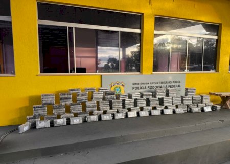 Cães farejadores encontram 237 quilos de cocaína em caminhão de mudança