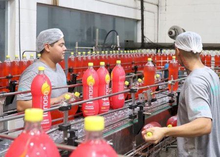 Mercado de trabalho formal em MS fecha 2024 com saldo positivo de 12,4 mil vagas