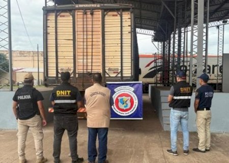 Caminhão com mulas contrabandeadas do Brasil é apreendido na fronteira