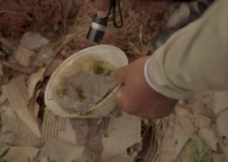 Mato Grosso do Sul registra 554 casos confirmados de dengue, aponta boletim