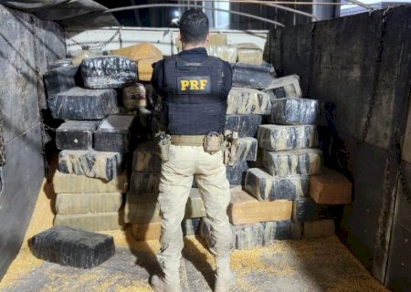Carreta com milho a granel abordada na BR-163 levava 3,3 toneladas de maconha