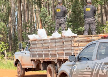 Polícia apreende 3,5 toneladas de agrotóxicos avaliado em R$ 3,5 milhões