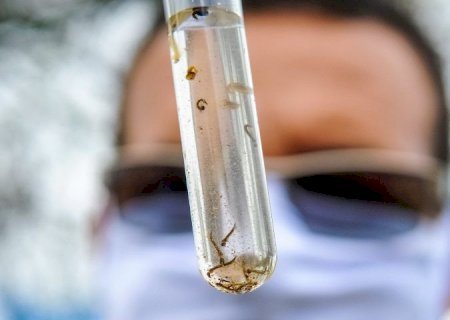 Mato Grosso do Sul registra 1.234 casos confirmados de dengue em 2025
