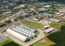 Agroindústria cresce em 2024, mas desaceleração em dezembro preocupa