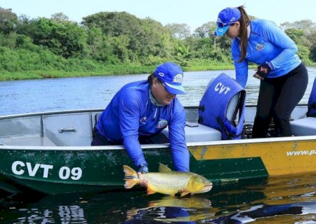 Deputados estaduais aprovam proibição da captura do dourado por mais dois anos