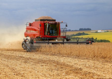 Colheita de soja ultrapassa 60% no Brasil; saiba qual o estado mais avançado