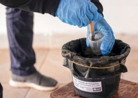 MS inicia projeto-piloto com biolarvicidas para reforçar combate à dengue