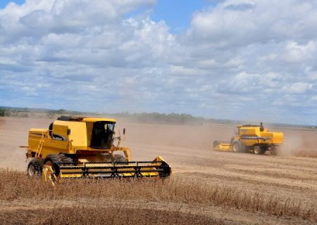 Produção agrícola de MS deve chegar a 75,3 milhões de toneladas na safra 2024/25