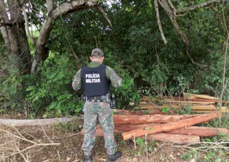 Polícia Ambiental flagra exploração ilegal de madeira em área de reserva