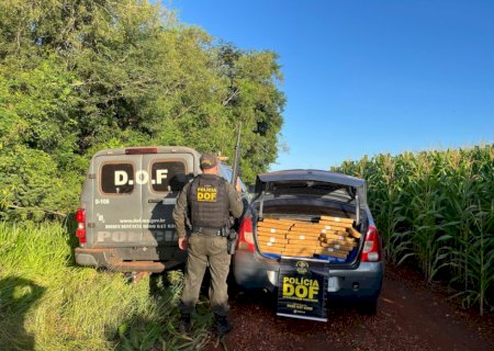 Carro é apreendido em Dourados com 1,3 tonelada de drogas