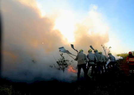 MS antecipa cronograma de prevenção de incêndios e lança PSA Brigadas em abril