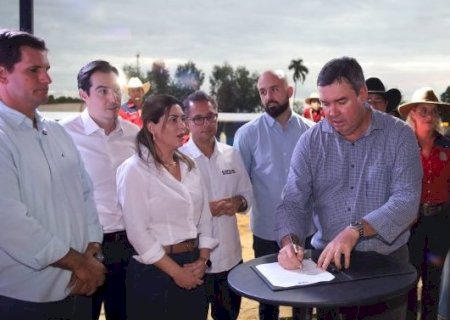 Programa de equoterapia terá R$ 1,4 milhão em MS