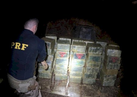 PRF apreende 360 quilos de cocaína e prende motorista de carreta