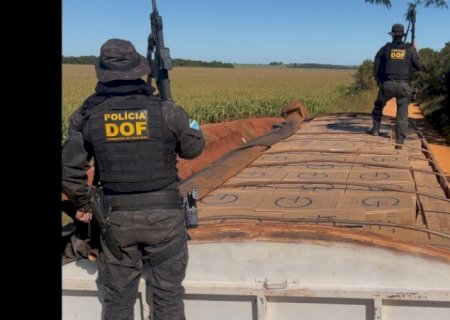 DOF apreende mais de 42 mil pacotes de cigarros contrabandeados em carreta