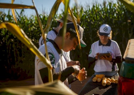 MS, MT e Goiás recebem técnicos do Rally da Safra para avaliar lavouras de milho