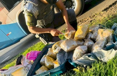Boliviana que saiu de Mato Grosso do Sul com skunk é presa em rodovia paulista