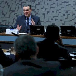 Ministro da Agricultura anuncia que foco de gripe aviária está contido