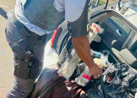 Douradense é flagrado em rodovia paulista com 160 quilos de cabelo humano