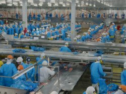 Indústria criou mais de 910 mil empregos em quatro anos, aponta IBGE