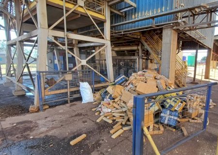 Polícia Federal incinera cerca de 6 toneladas de drogas em Dourados