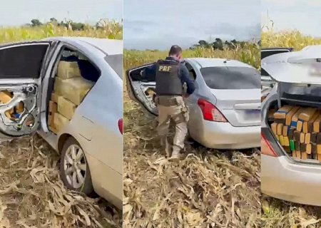 Quatro homens são presos com carro “recheado” de maconha e haxixe em plantação de milho