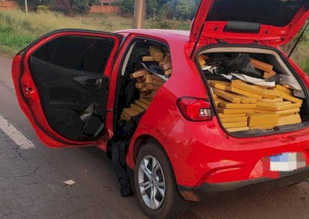 PRF apreende 674 quilos de maconha e recupera veículo em Miranda