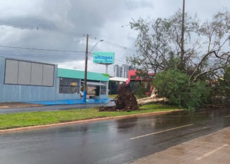 Chuva e vento forte derrubam árvores e deixam bairros sem energia em Dourados