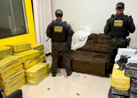 DOF apreende quase 1 tonelada de droga em entreposto e recupera veículo roubado