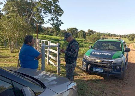 PMA lança operação para intensificar combate ao desmatamento