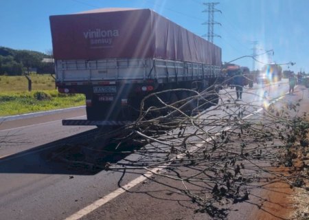 Após outra morte por atropelamento, indígenas bloqueiam Anel Viário, mas pista já foi liberada