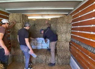 Carga de maconha escondida em alfafa é apreendida na fronteira com MS