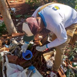 Proprietários de imóveis são autuados por acúmulo de lixo e mato em quintais
