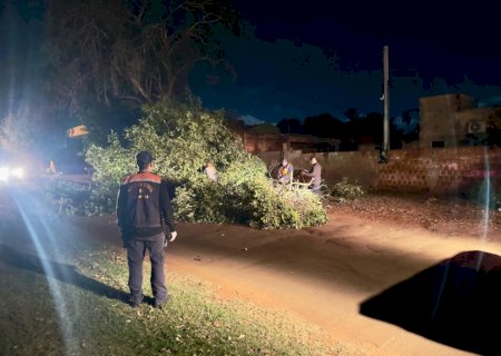 Prefeitura dá rápida resposta em atendimentos após vendaval em Dourados