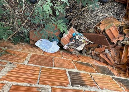 Acusado de atirar contra ex-cunhado é preso pelo SIG na Aldeia Jaguapiru