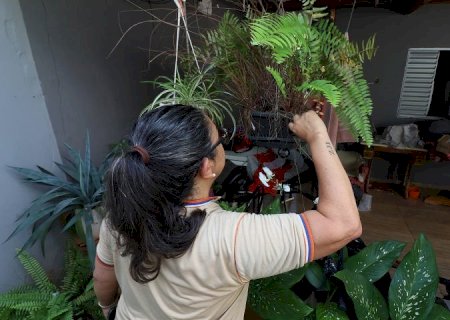 Mato Grosso do Sul registra 7.778 casos confirmados de dengue e 17 óbitos