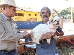 Prefeitura leva vacina antirrábica para animais sob cuidados em Ong’s e de protetores