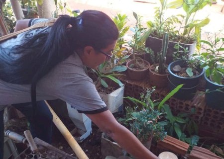 Dourados registra queda de 41% nas notificações de dengue em 2025