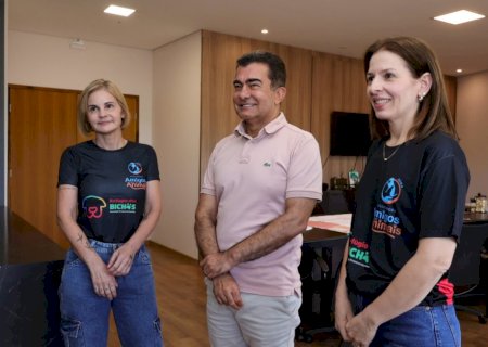 Nova etapa de castração vai atender 750 animais em Dourados, anuncia prefeitura