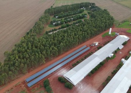 Programa fortalece avicultura e estimula escola avícola em Mato Grosso do Sul