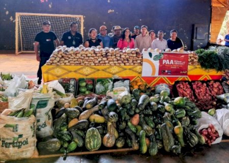 Ação distribui 19 toneladas de alimentos e reforça segurança alimentar nas aldeias