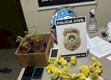 Dois são presos em ação da Polícia Civil que desarticula 'boca de fumo'