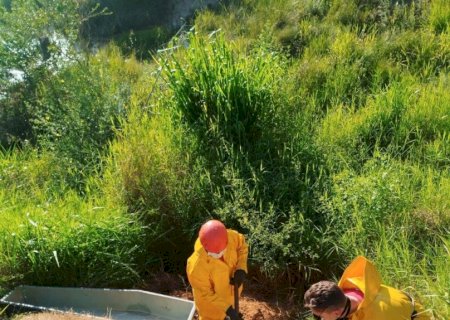 Encontrado em cova rasa, homem foi assassinado após suposto furto de caixa de som