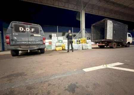 Motorista joga caminhão contra policiais, foge por mandiocal e abandona carga milionária